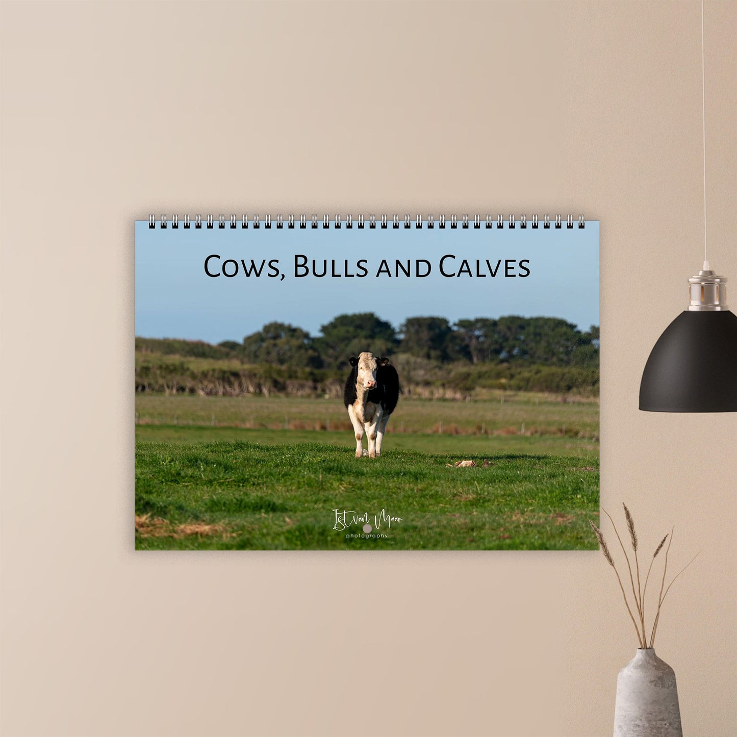 2027 Cows, Bulls and Calves Wall Calendar | 2284 Istvan Maar Photography