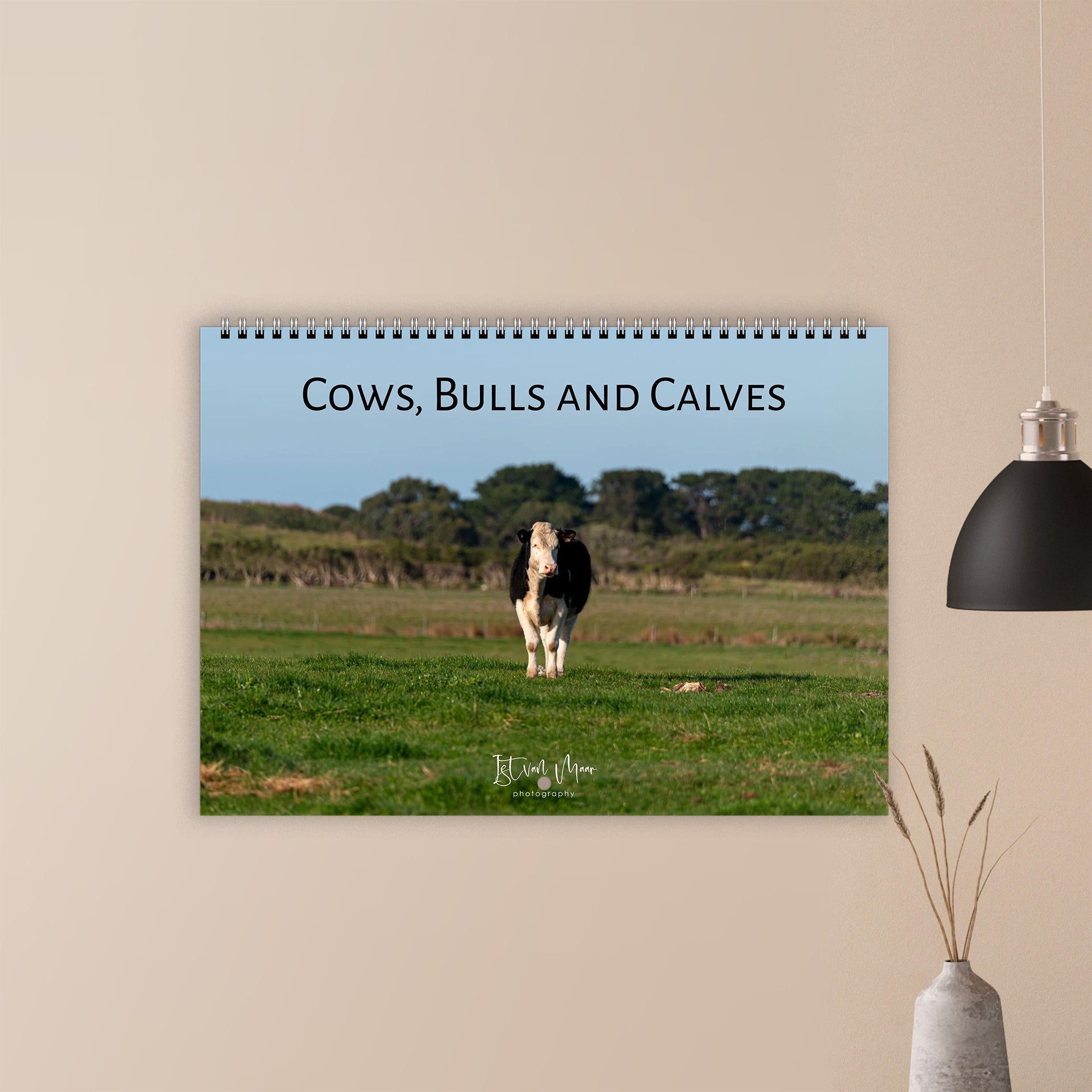 2027 Cows, Bulls and Calves Wall Calendar | 2284 Istvan Maar Photography