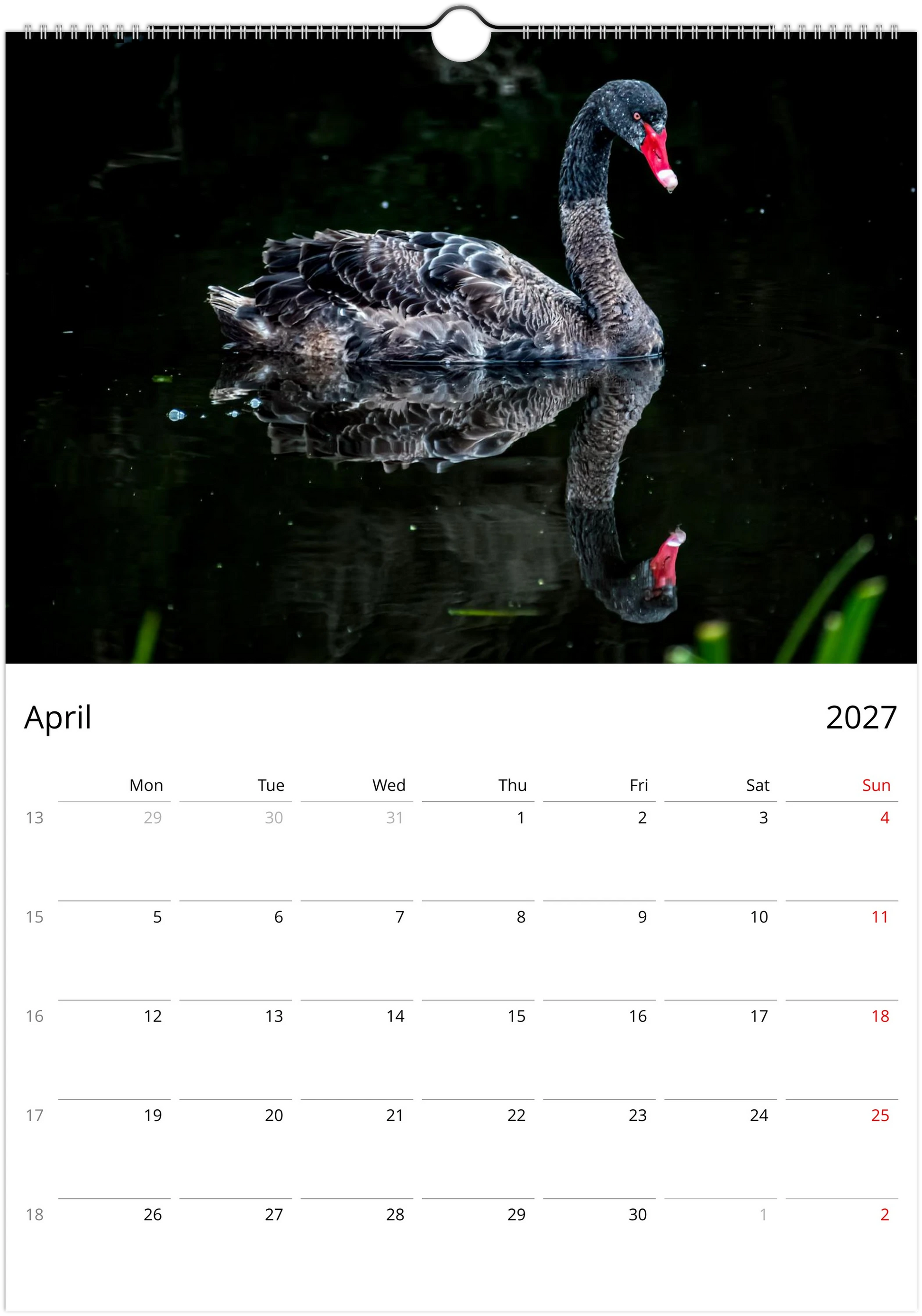 Black Swans wall calendar page by Istvan Maar Photography, featuring black swan with reflection on a lake.