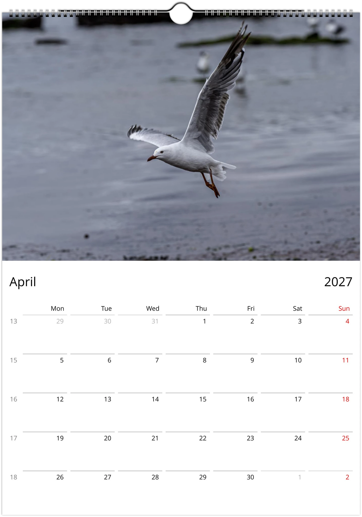 Seagulls wall calendar by Istvan Maar Photography featuring bird photos.