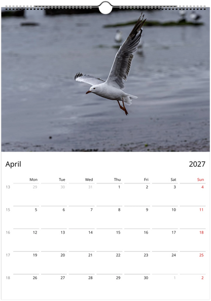 Seagulls wall calendar by Istvan Maar Photography featuring bird photos.