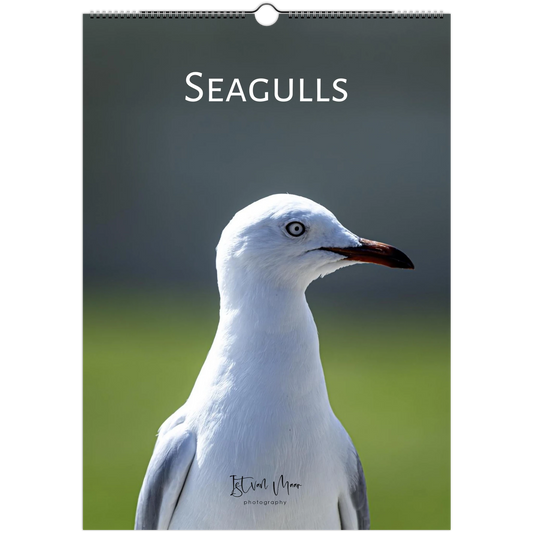 Seagulls wall calendar cover by Istvan Maar Photography featuring bird photos.
