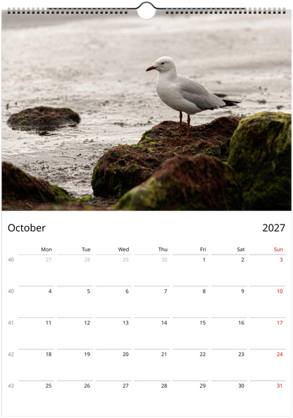 Seagulls wall calendar by Istvan Maar Photography featuring bird photos.