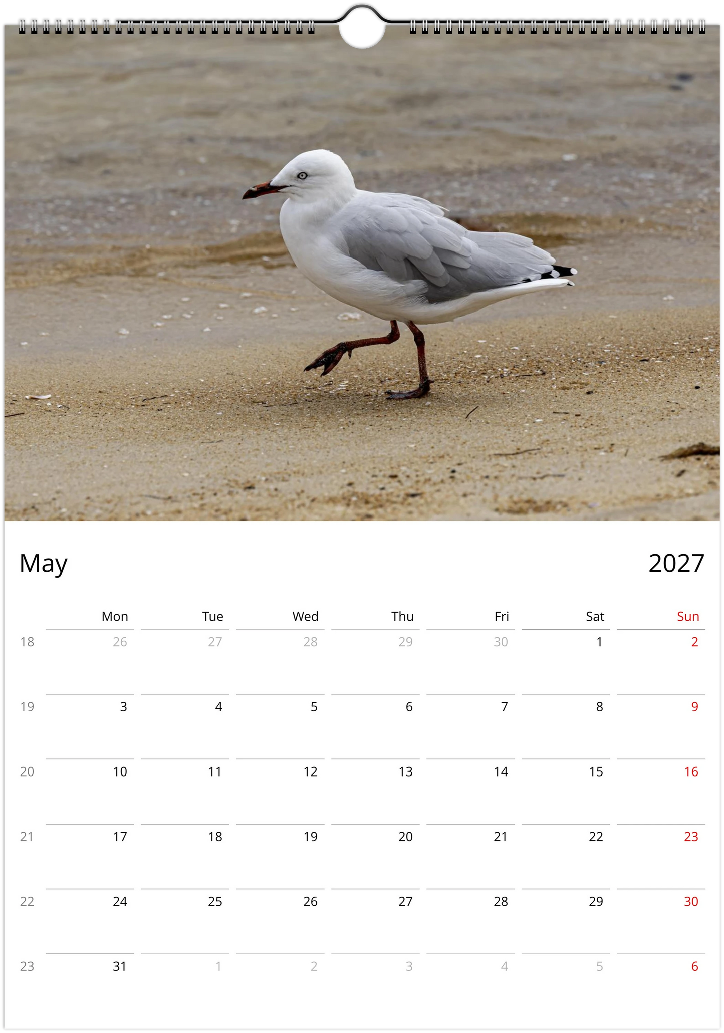Seagulls wall calendar by Istvan Maar Photography featuring bird photos.