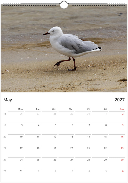 Seagulls wall calendar by Istvan Maar Photography featuring bird photos.
