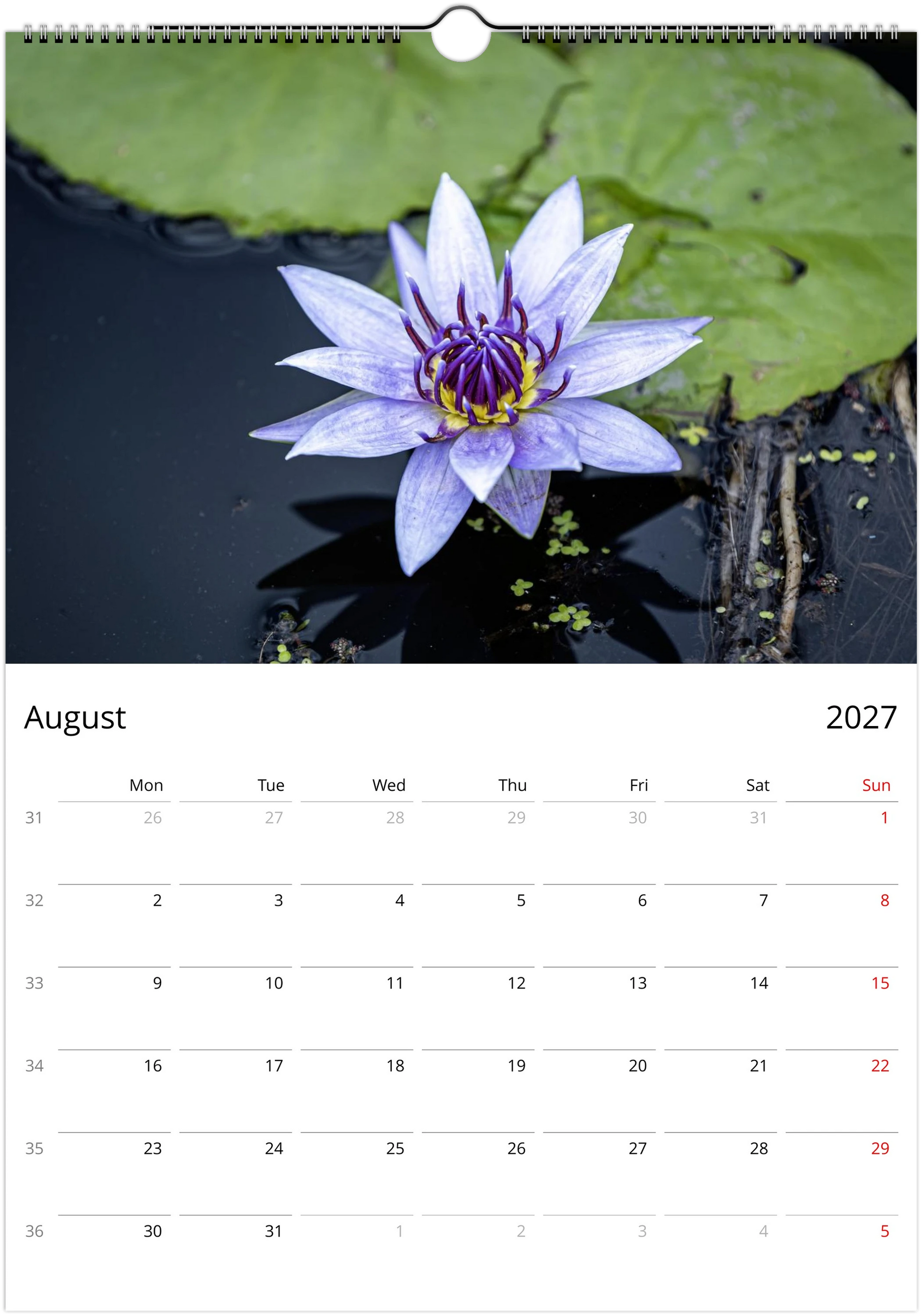 2027 Water Lilies Wall Calendar | 0556 Istvan Maar Photography