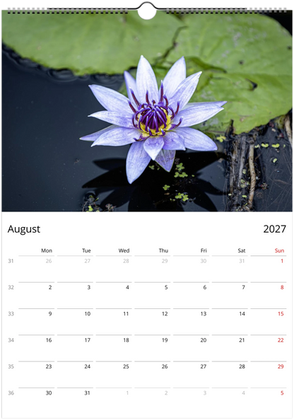2027 Water Lilies Wall Calendar | 0556 Istvan Maar Photography