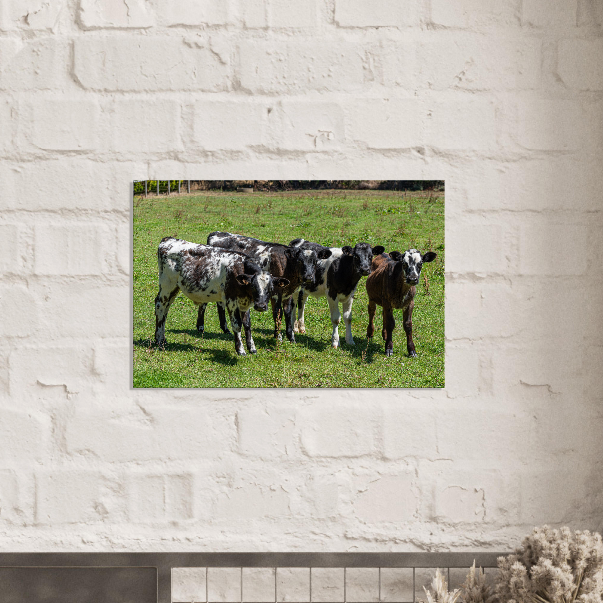 Calves Domestic Animal Canvas Wall Art Photography, Nursery Print, Nursery Animal Wall Decor, Kids Room, Prints, Stretched canvas by Istvan Maar Photography mockup 07