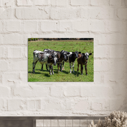 Calves Domestic Animal Canvas Wall Art Photography, Nursery Print, Nursery Animal Wall Decor, Kids Room, Prints, Stretched canvas by Istvan Maar Photography mockup 07