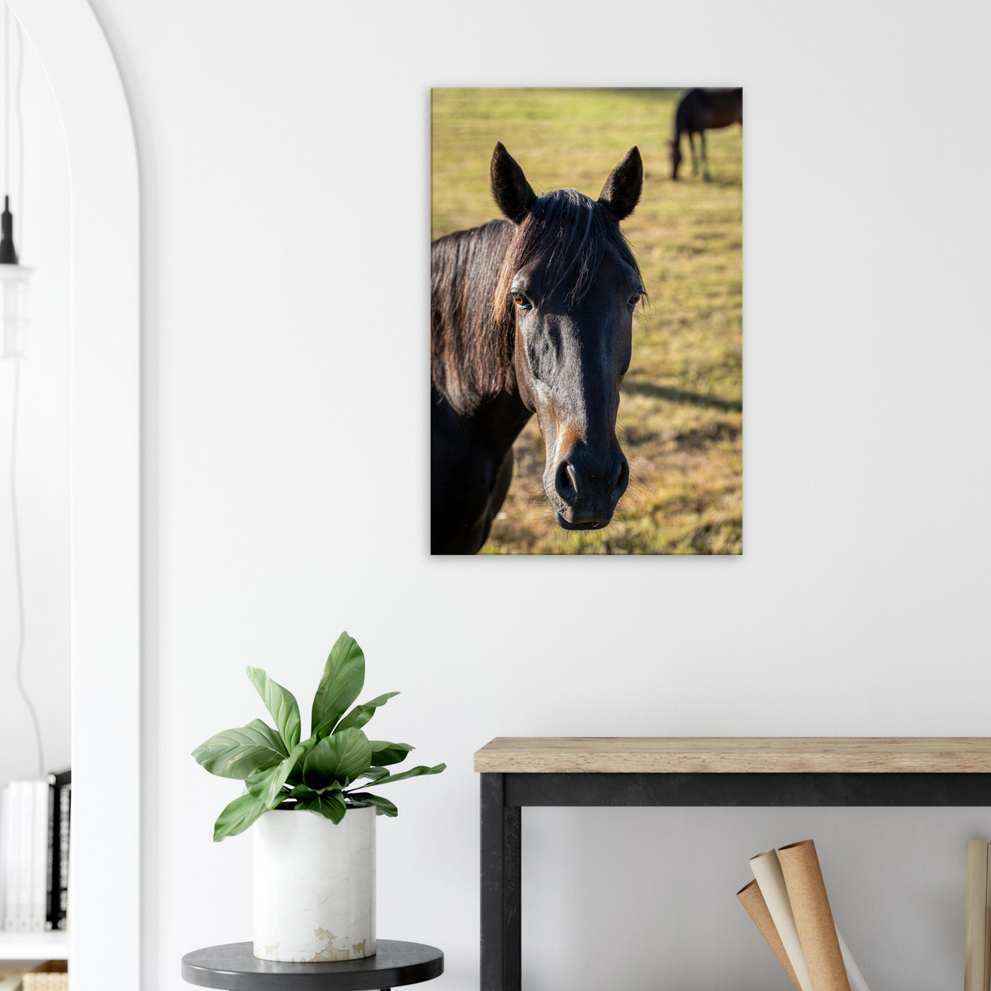 Domestic Animal Canvas Wall Art by Istvan Maar Photography