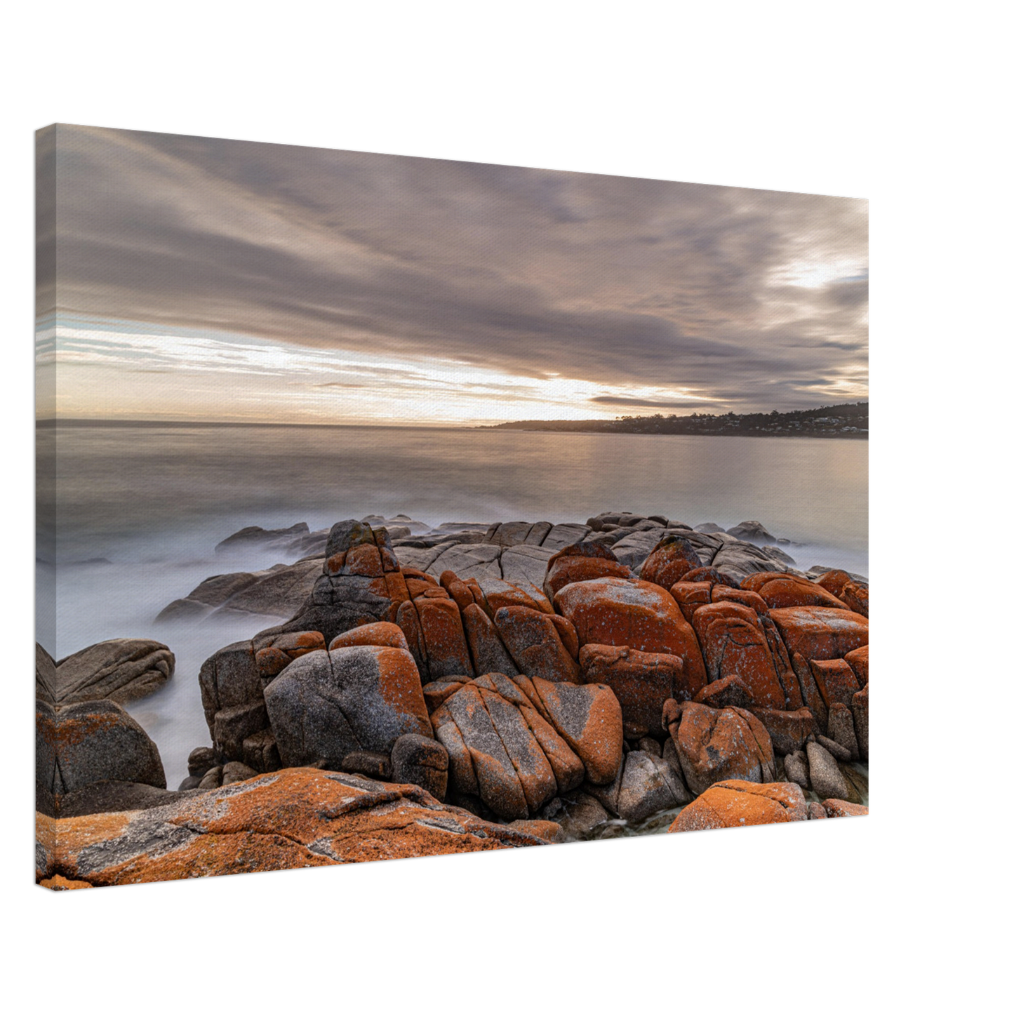 Tasmanian Coastal Stretched Canvas by Istvan Maar Photography - by side