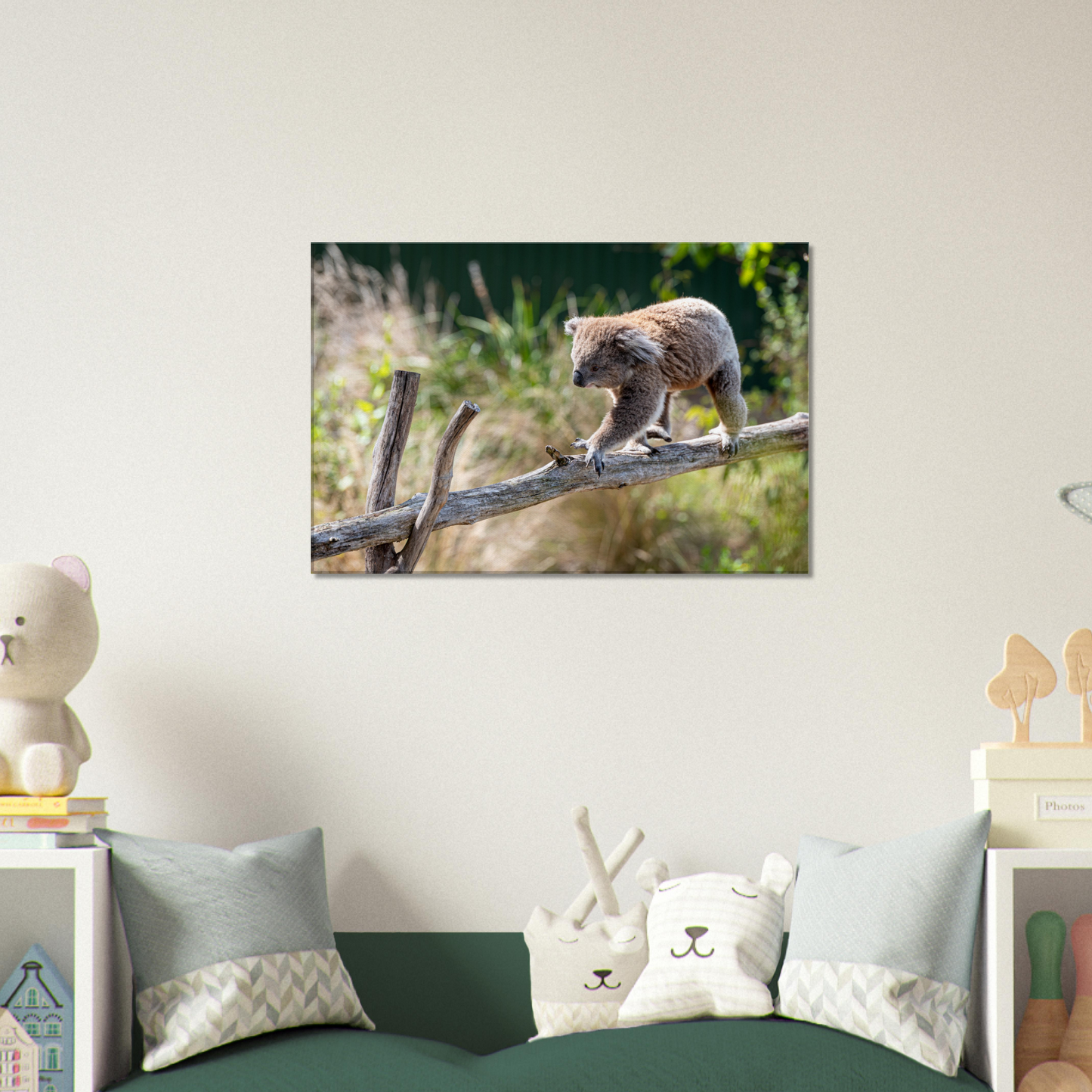 Cute Native Australian Animals Nursery Koala Canvas by Istvan Maar Photography - kid's room