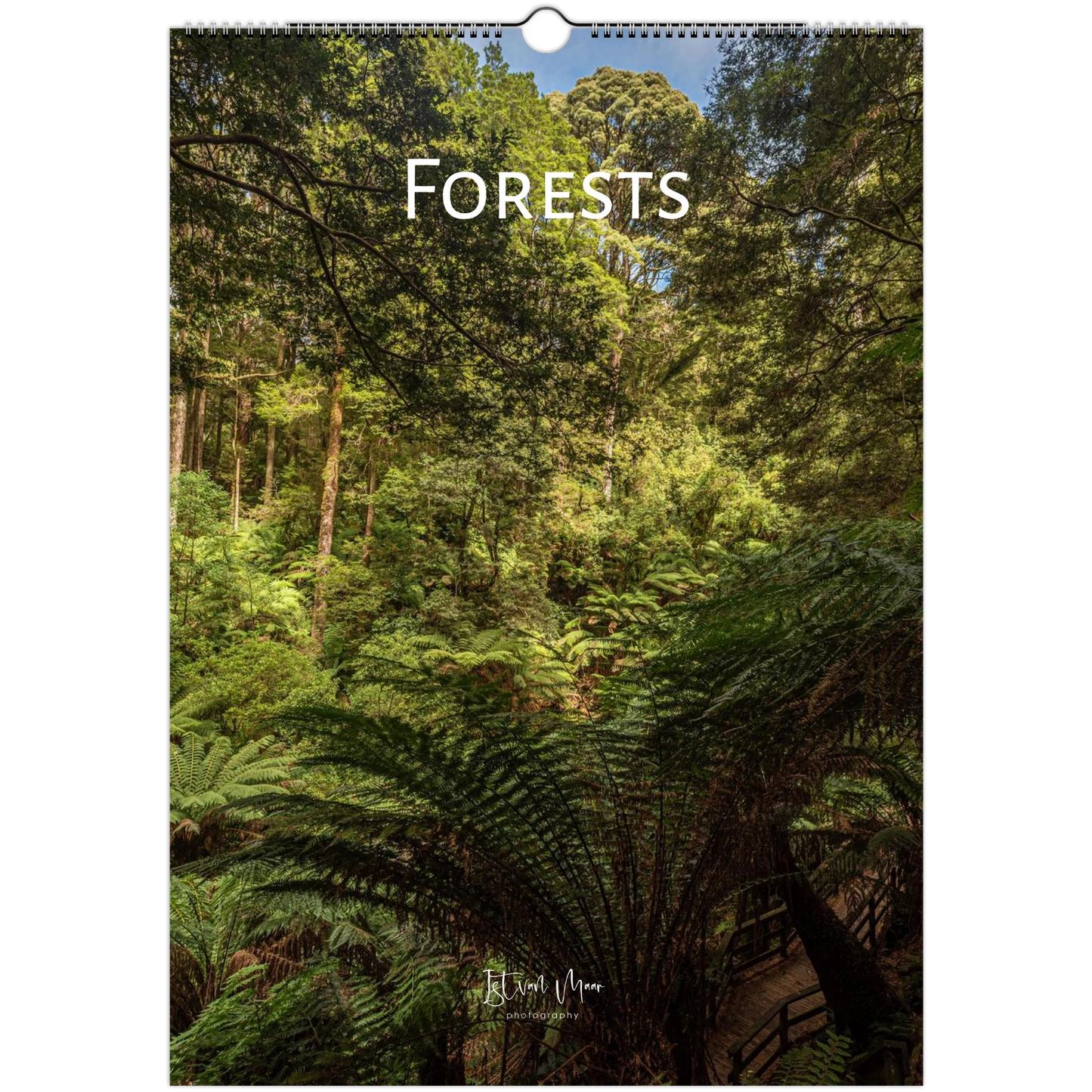 A vertical wall calendar cover titled "FORESTS" showing a dense green forest with ferns and trees. The top has a hanging hole, and the word "FORESTS" is printed across the upper center.