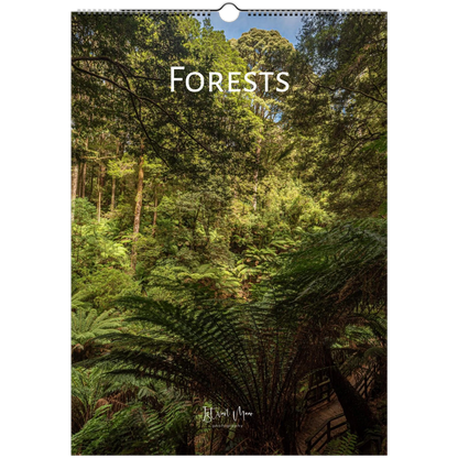 A vertical wall calendar cover titled "FORESTS" showing a dense green forest with ferns and trees. The top has a hanging hole, and the word "FORESTS" is printed across the upper center.