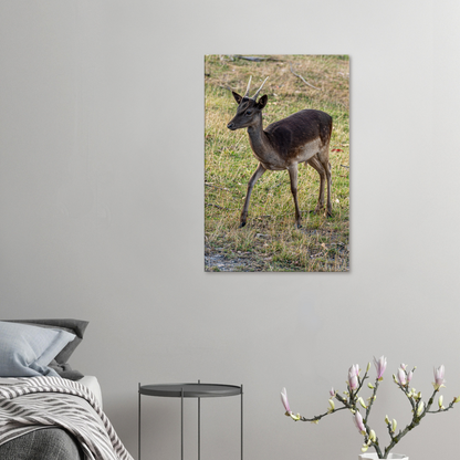 	
Deer Wildlife Animals Art Nursery Photography Wall Decor Kids Room Poster Playroom Artwork Stag Stretched Canvas 034