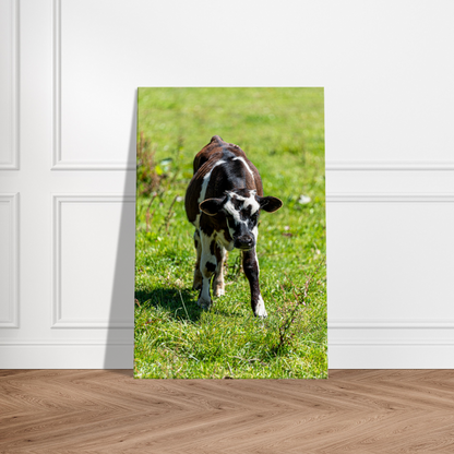 Cute calf Domestic Animal Canvas Wall Art Photography, Nursery Print, Nursery Animal Wall Decor, Kids Room, Prints, Stretched canvas by Istvan Maar Photography mockup 32