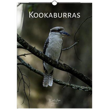 A4 Kookaburras Wall Calendar 2027 front cover – Istvan Maar Photography – Bird Calendars – Australian bird calendars