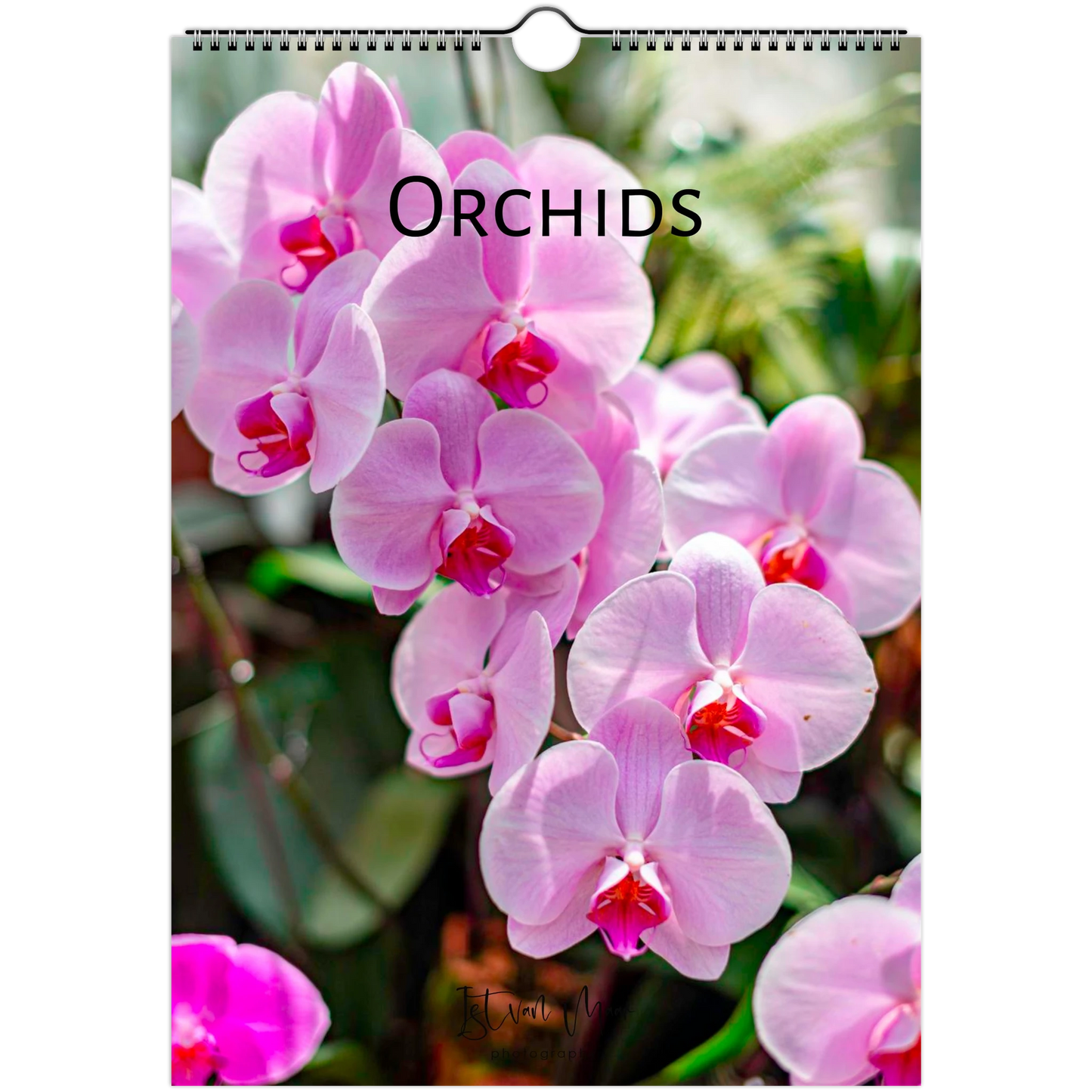A hanging wall calendar cover featuring a close-up photograph of pink orchids with the word 'Orchids' printed across the top. The calendar has a spiral binding hole at the top and is shown against a white background.