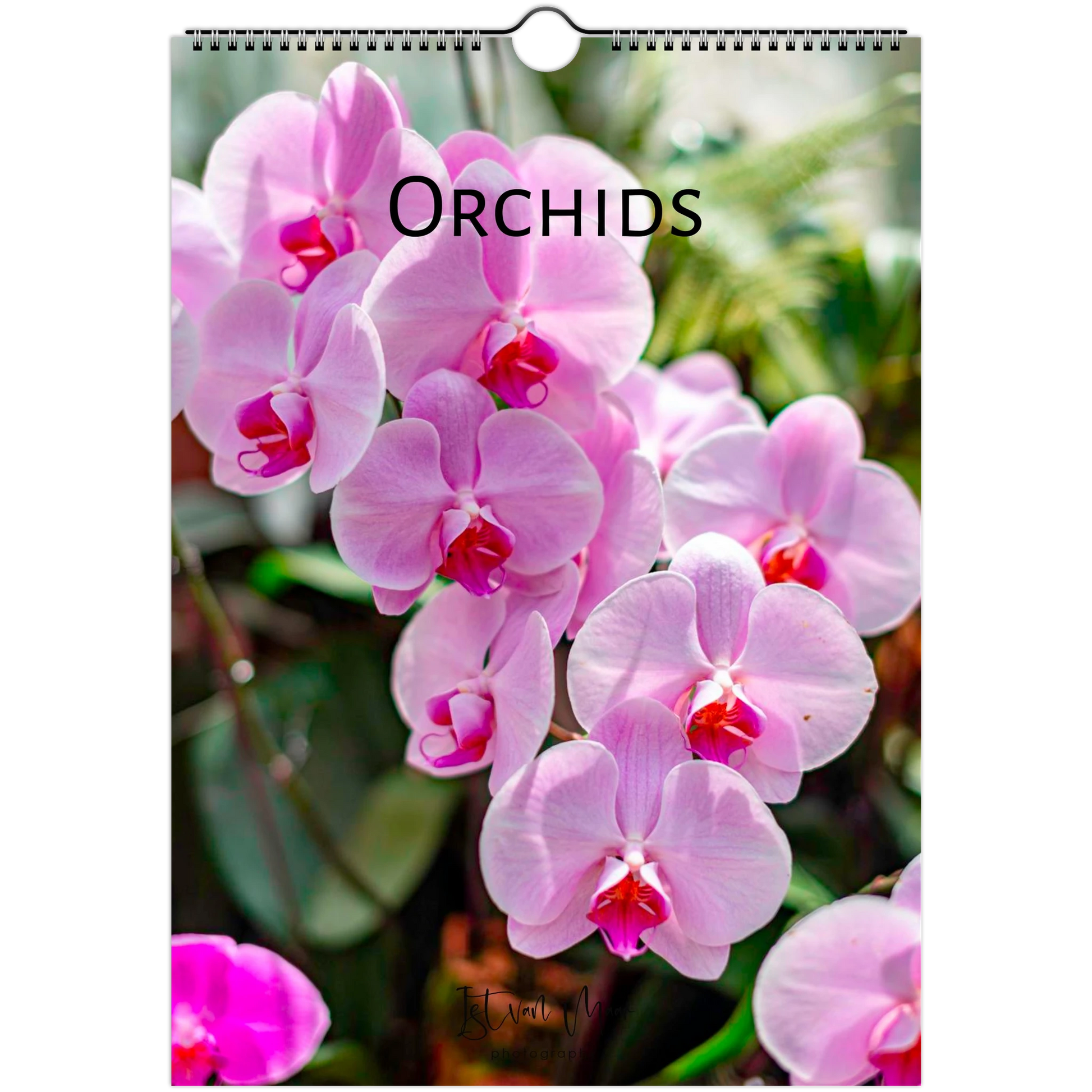 A hanging wall calendar cover featuring a close-up photograph of pink orchids with the word 'Orchids' printed across the top. The calendar has a spiral binding hole at the top and is shown against a white background.