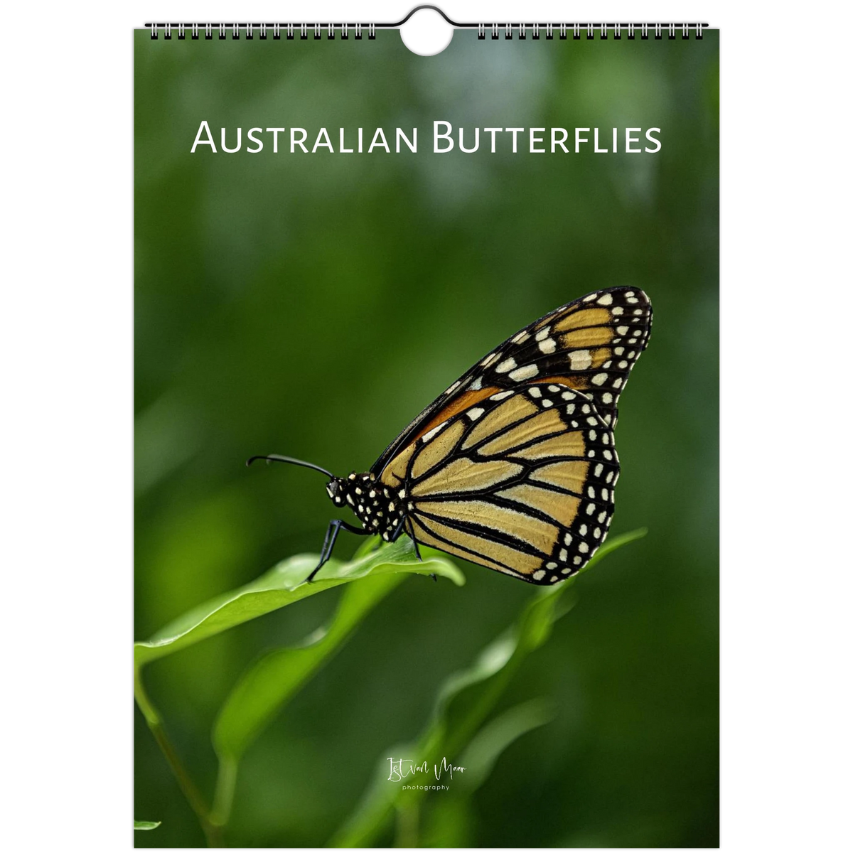 2027 Personalised Australian Butterflies Wall Calendar cover: a Monarch butterfly on a green leaf, photographed in the Butterfly House at Melbourne Zoo