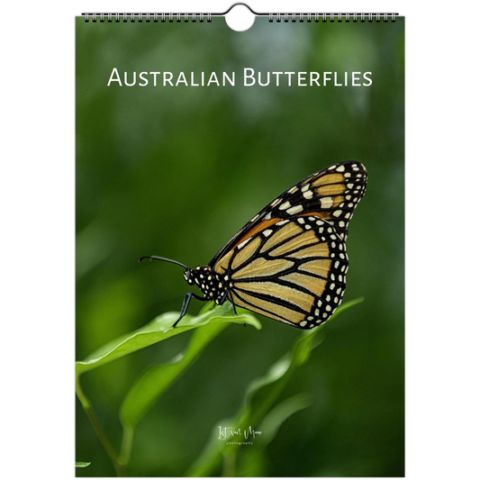 2027 Personalised Australian Butterflies Wall Calendar cover: a Monarch butterfly on a green leaf, photographed in the Butterfly House at Melbourne Zoo