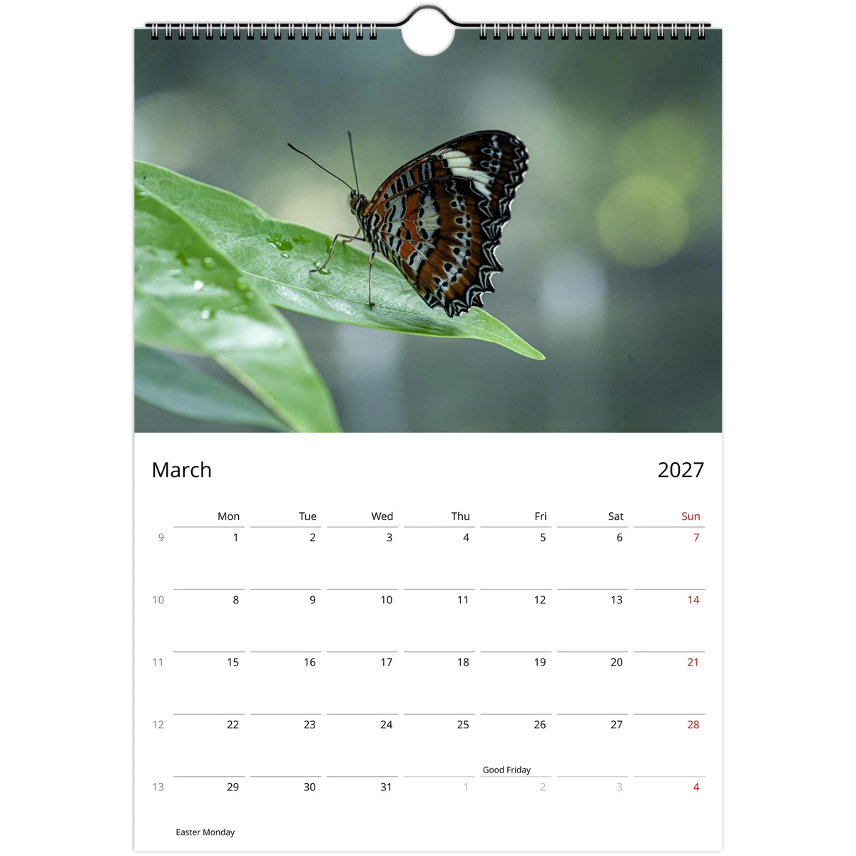 March page of the 2027 Australian Butterflies Wall Calendar: an orange, black and white butterfly resting on a leaf above the monthly grid