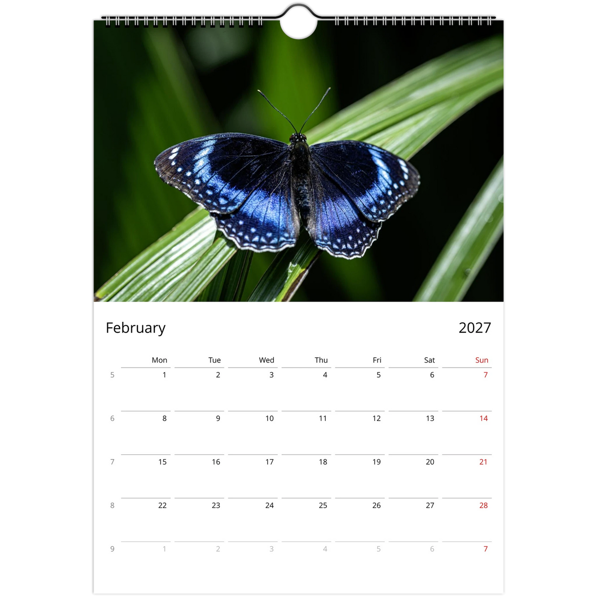 May page of the 2027 Australian Butterflies Wall Calendar: a green, black and yellow birdwing butterfly on a leaf above the monthly grid