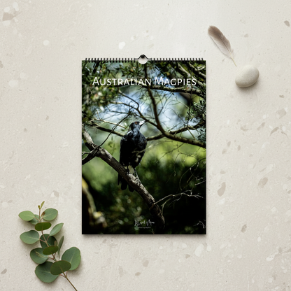 Australian Magpies A3 wildlife photography wall calendar flat lay on natural wooden surface with eucalyptus styling
