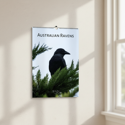 Australian Ravens Wall Calendar Mockup - Window Light