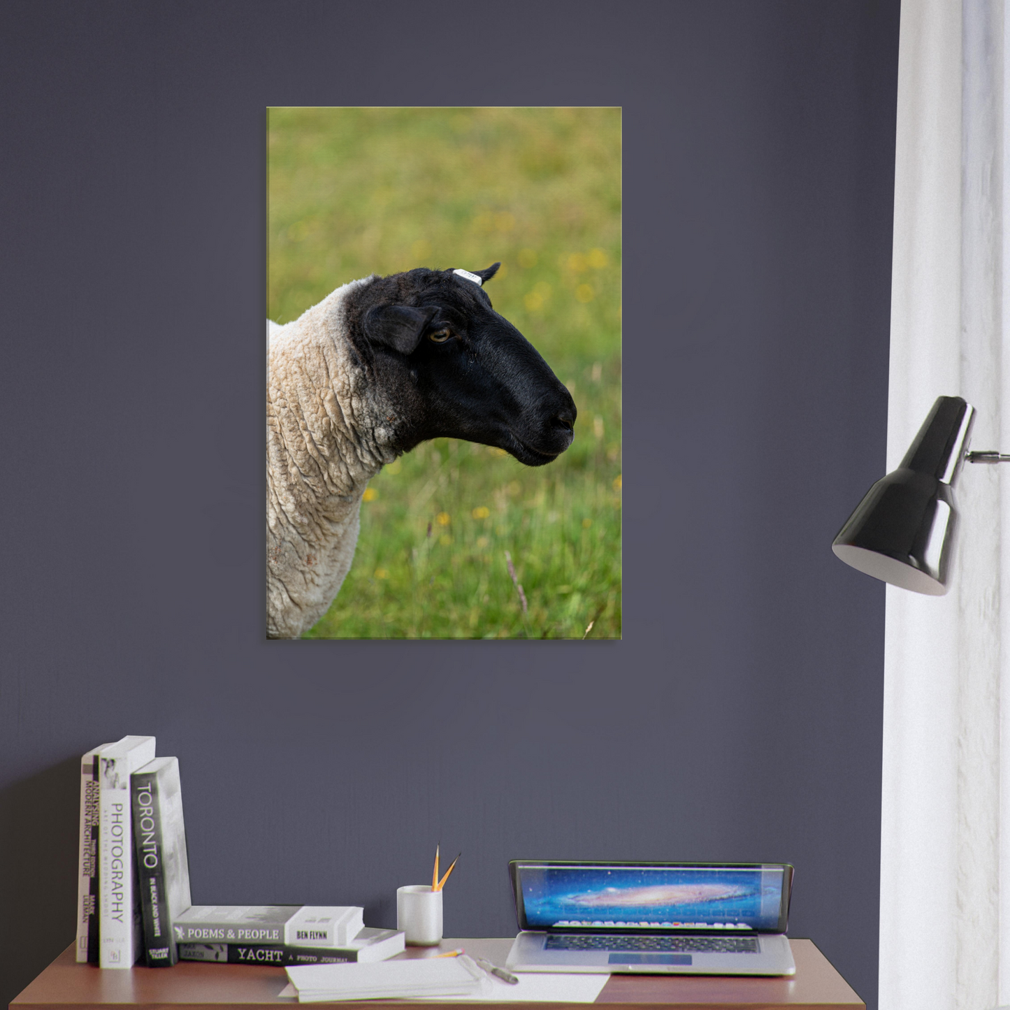 Sheep Domestic Animal Canvas Wall Art Photography, Nursery Print, Nursery Animal Wall Decor, Kids Room, Prints, Stretched canvas by Istvan Maar Photography 06