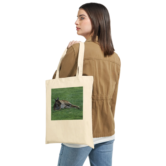 Lazy lounging kangaroo tote bag in natural canvas – Australian wildlife art print by Istvan Maar Photography