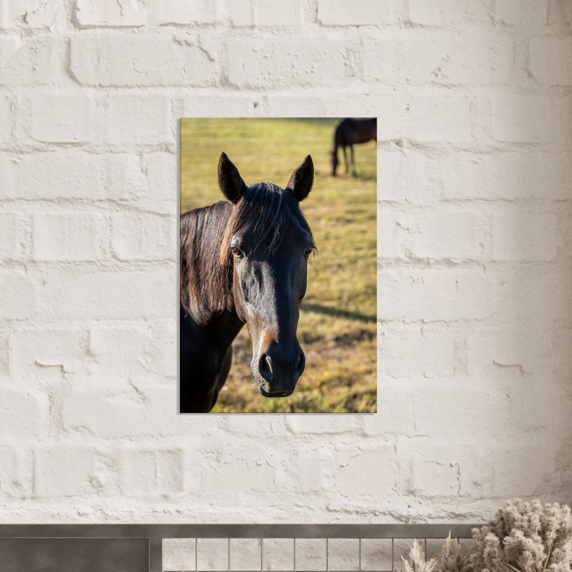 Horse Canvas Wall Art by Istvan Maar Photography