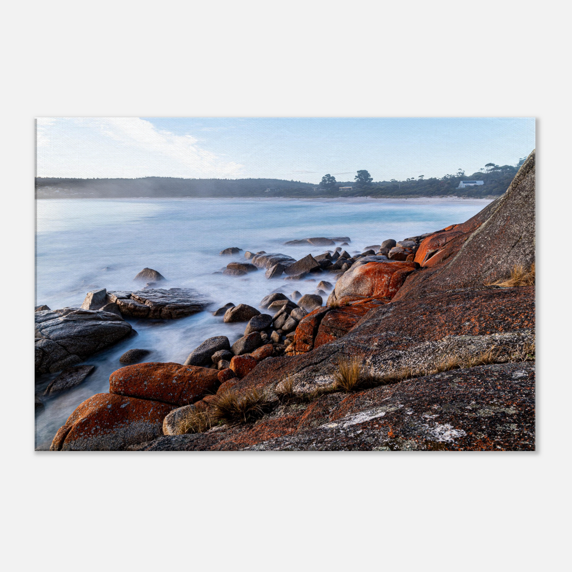 Binalong Bay Coastal Canvas by Istvan Maar Photography - close-up