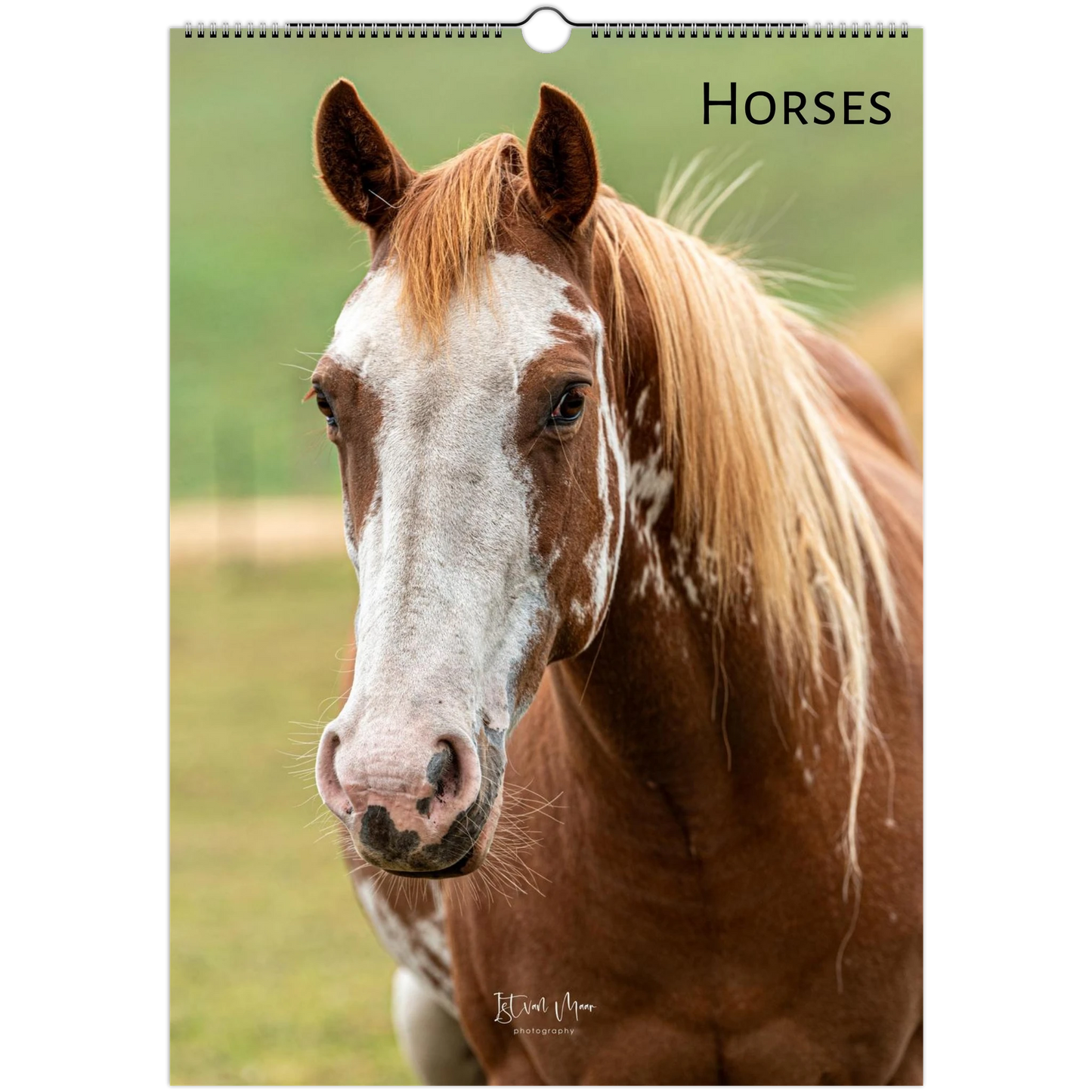 Horses Wall Calendar – front cover featuring horse photography by Istvan Maar available in A4, A3, LT and LG US sizes.