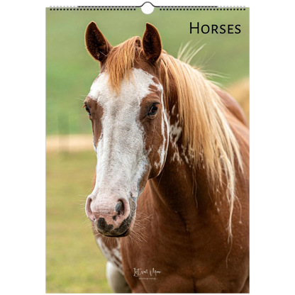Horses Wall Calendar – front cover featuring horse photography by Istvan Maar available in A4, A3, LT and LG US sizes.