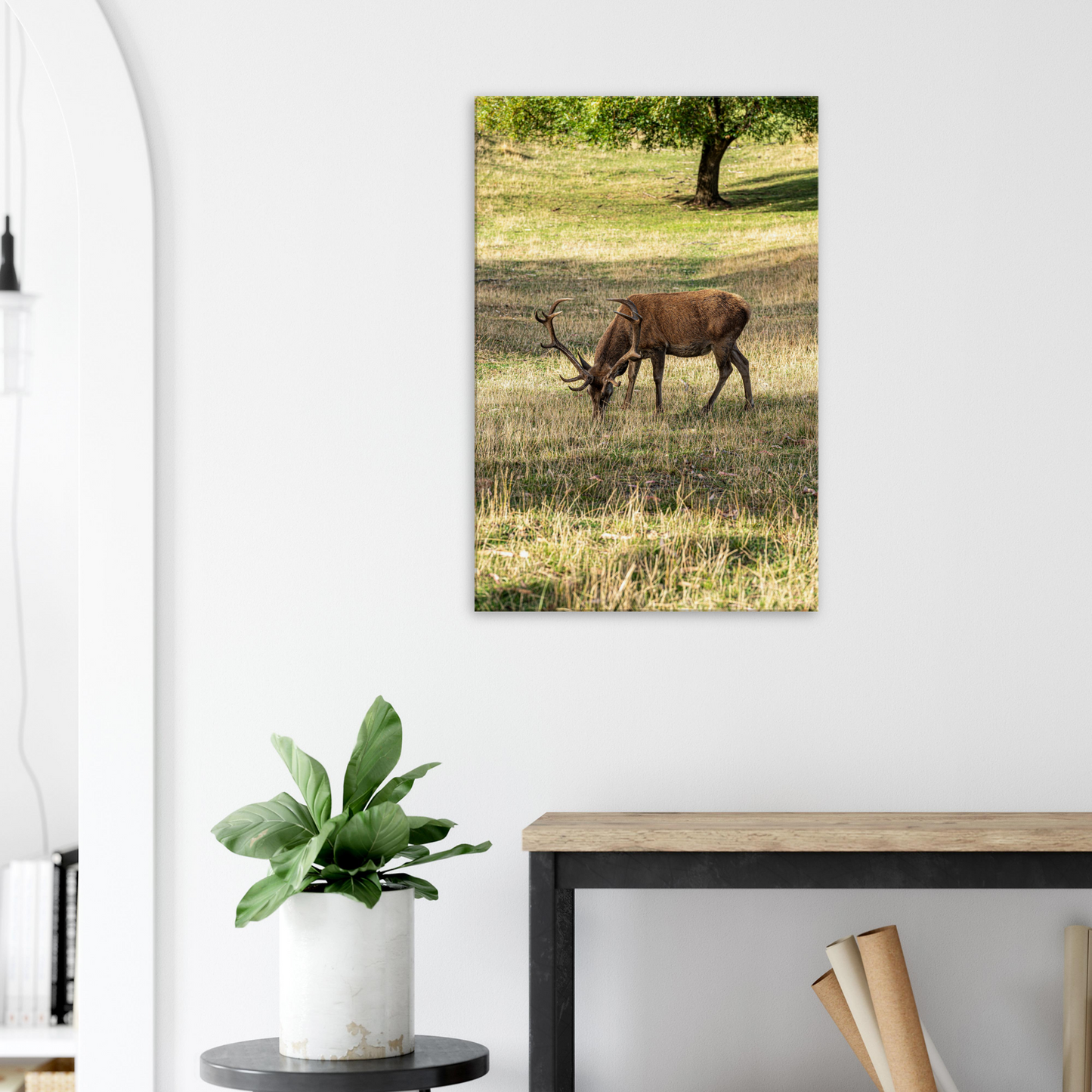 	
Deer Wildlife Animals Art Nursery Photography Wall Decor Kids Room Poster Playroom Artwork Stag Stretched Canvas 105