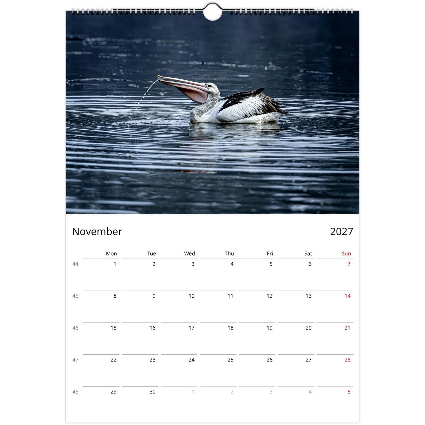 Pelican at lake — coastal bird photography wall calendar by Istvan Maar