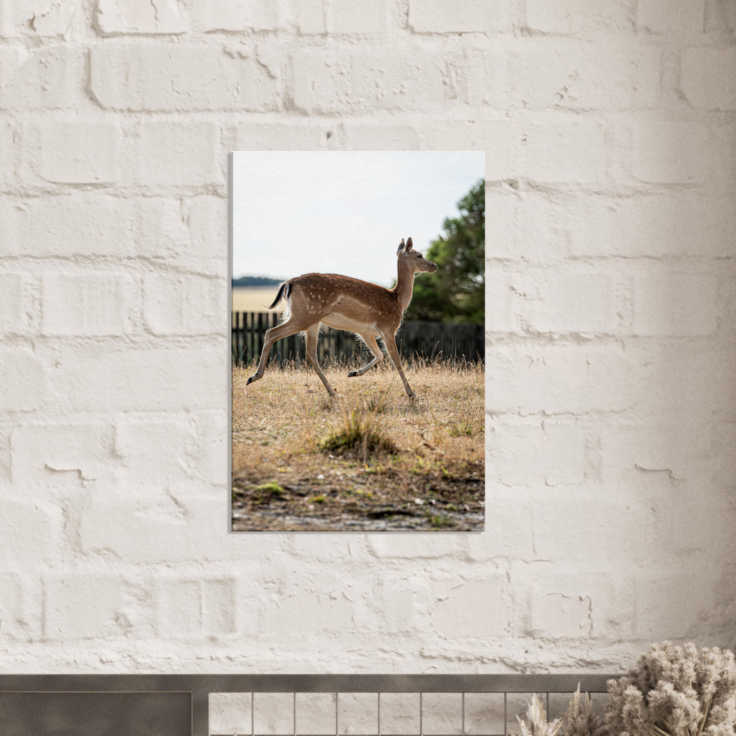 	
Deer Wildlife Animals Art Nursery Photography Wall Decor Kids Room Poster Playroom Artwork Stag Stretched Canvas 195