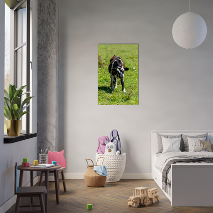 Cute calf Domestic Animal Canvas Wall Art Photography, Nursery Print, Nursery Animal Wall Decor, Kids Room, Prints, Stretched canvas by Istvan Maar Photography mockup 34