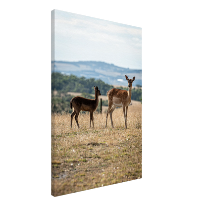 	
Deer Wildlife Animals Art Nursery Photography Wall Decor Kids Room Poster Playroom Artwork Stag Stretched Canvas 088