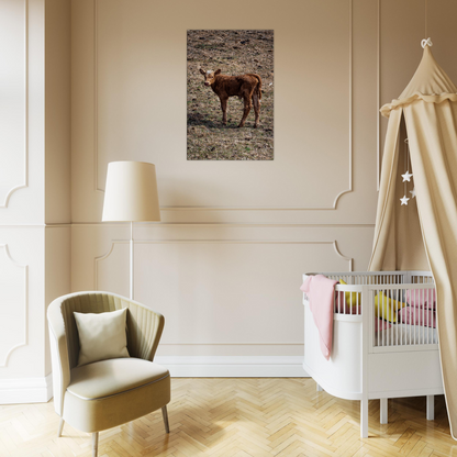 Cute calf Domestic Animal Canvas Wall Art Photography, Nursery Print, Nursery Animal Wall Decor, Kids Room, Prints, Stretched canvas by Istvan Maar Photography mockup 17