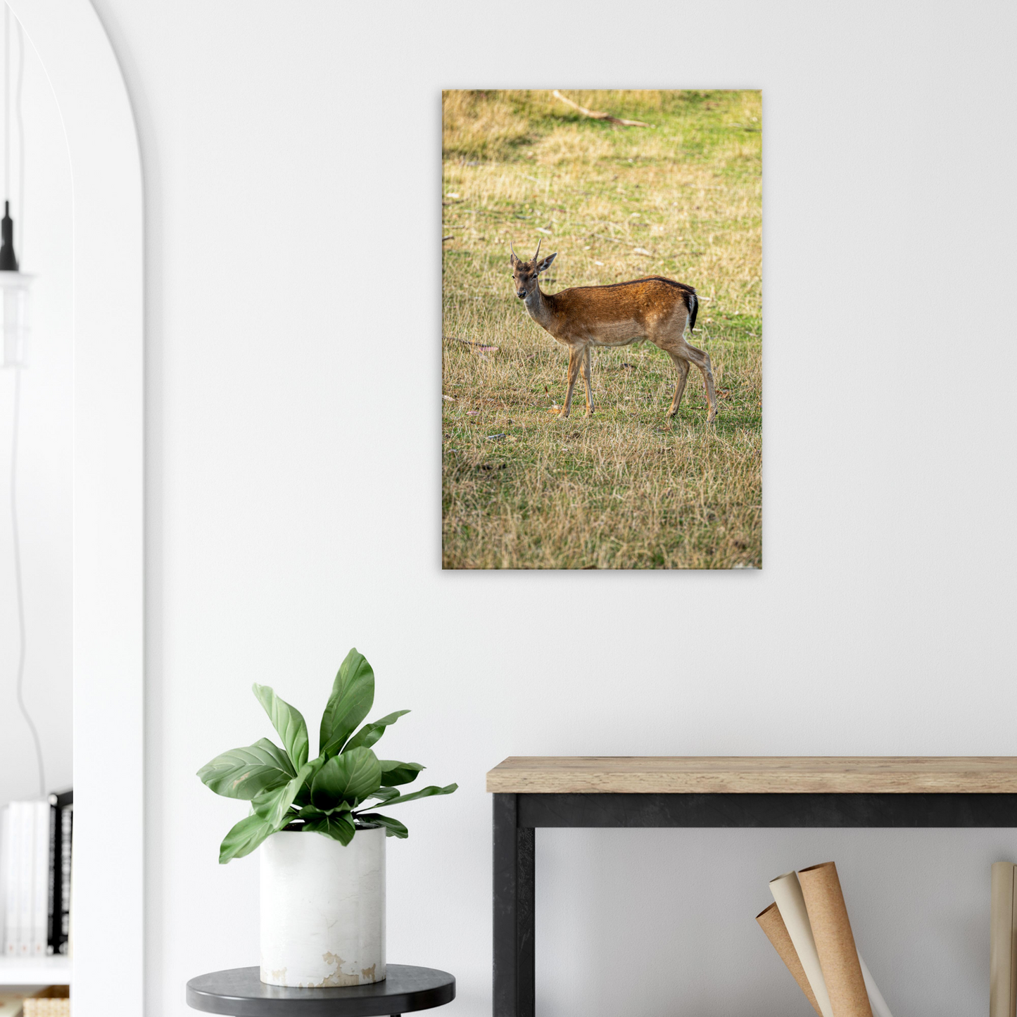 	
Deer Wildlife Animals Art Nursery Photography Wall Decor Kids Room Poster Playroom Artwork Stag Stretched Canvas 164