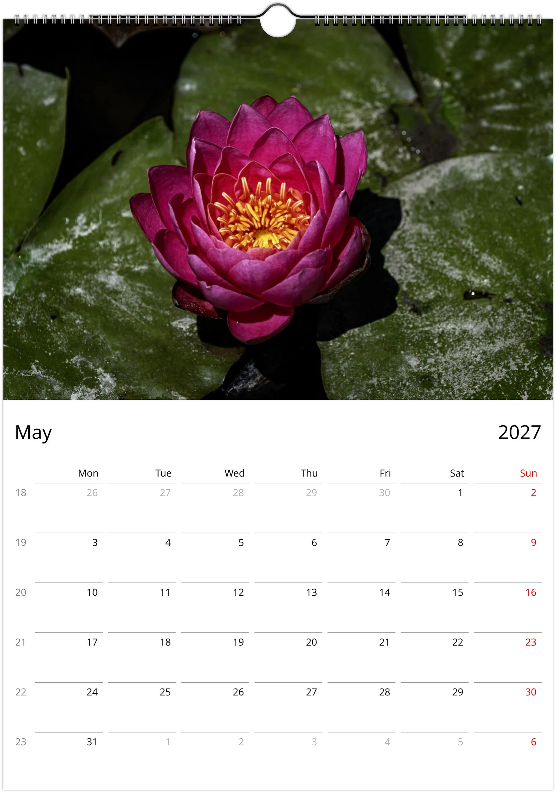 2027 Water Lilies Wall Calendar | 0556 Istvan Maar Photography