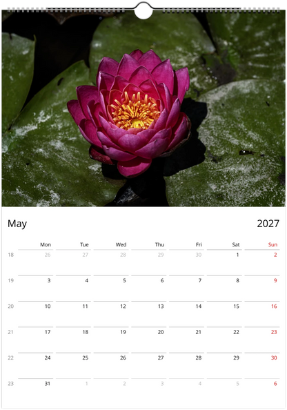 2027 Water Lilies Wall Calendar | 0556 Istvan Maar Photography