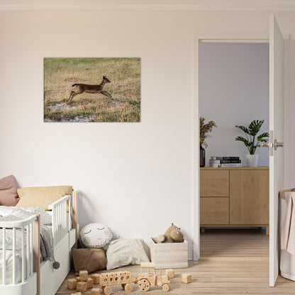 	
Deer Wildlife Animals Art Nursery Photography Wall Decor Kids Room Poster Playroom Artwork Stag Stretched Canvas 002