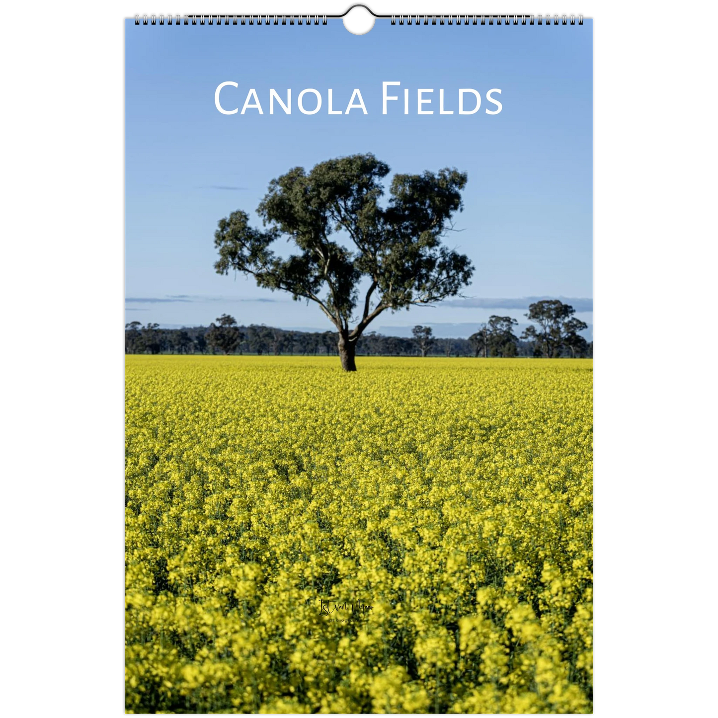 A spiral-bound wall calendar featuring a landscape photograph of a canola field with a single tree under a blue sky, with the text 'CANOLA FIELDS' at the top.