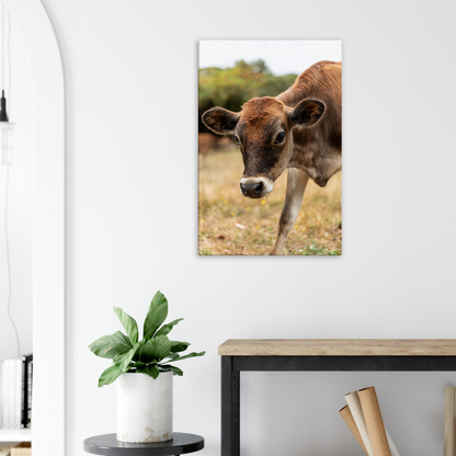 Cute calf Domestic Animal Canvas Wall Art Photography, Nursery Print, Nursery Animal Wall Decor, Kids Room, Prints, Stretched canvas by Istvan Maar Photography mockup 26