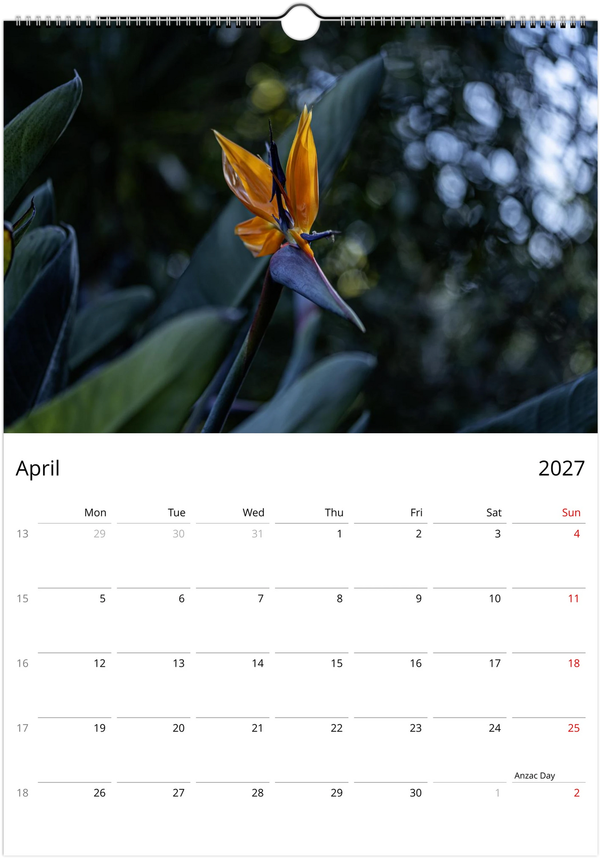 April 2027 page of the Bird of Paradise flower wall calendar – single strelitzia flower against dark leaves, Monday-start grid with week numbers and public holidays