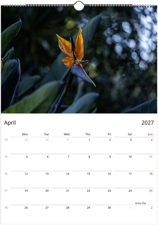 April 2027 page of the Bird of Paradise flower wall calendar – single strelitzia flower against dark leaves, Monday-start grid with week numbers and public holidays