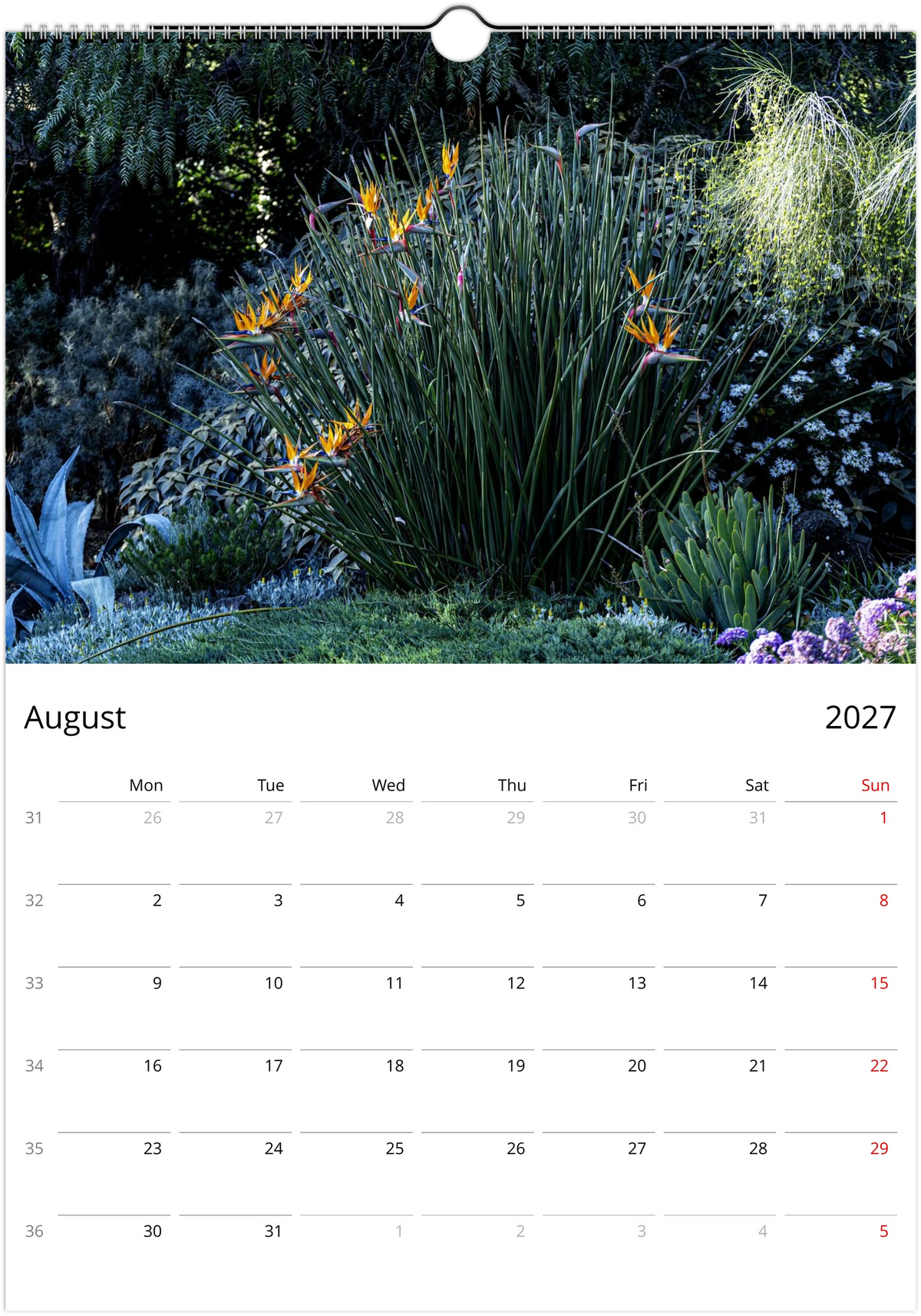 August 2027 page of the Bird of Paradise flower wall calendar – a large clump of strelitzias in a garden bed at the Royal Botanic Gardens Melbourne, Monday-start monthly grid